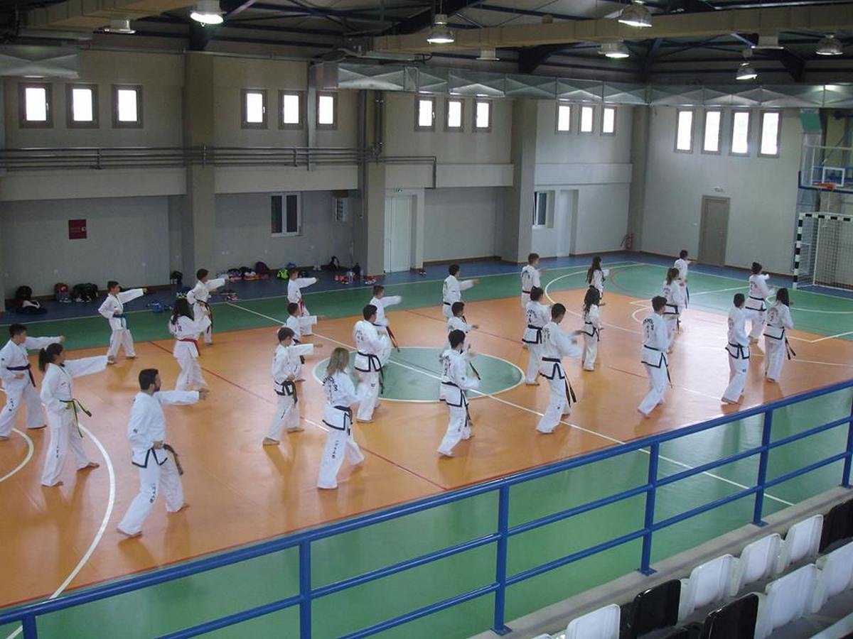 Taekwondo01